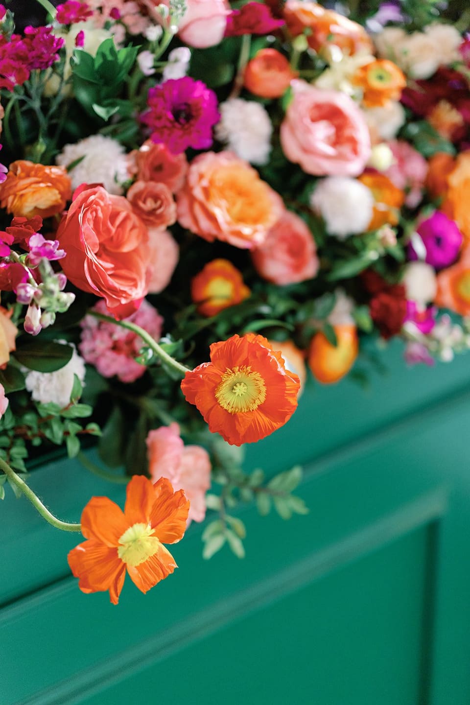 Vibrant coral and orange blooms against deep green — Lavender & Lily Floral